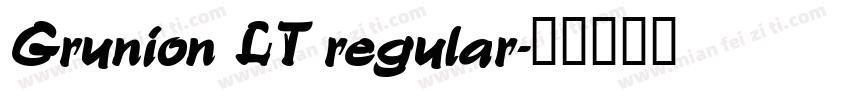 Grunion LT regular字体转换